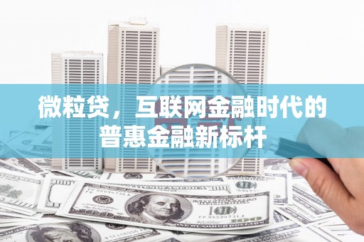 下城微粒贷，互联网金融时代的普惠金融新标杆