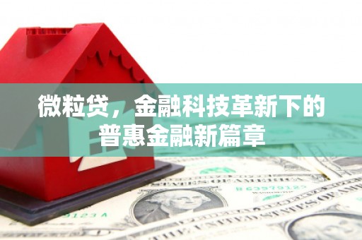 下城微粒贷，金融科技革新下的普惠金融新篇章
