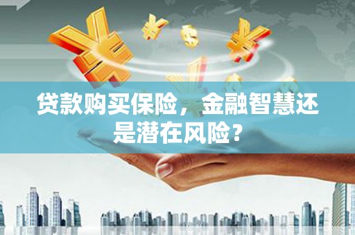 下城贷款购买保险，金融智慧还是潜在风险？