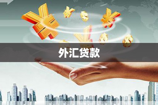 下城外汇贷款