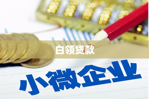 下城白领贷款
