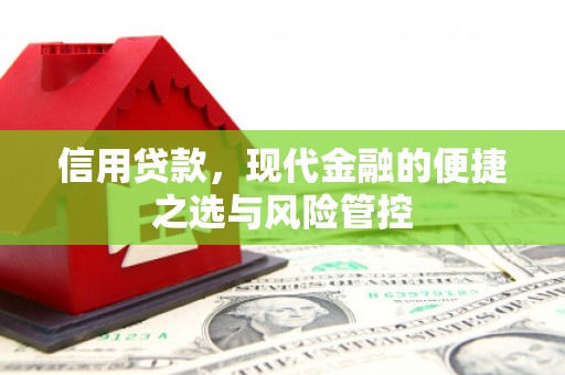 下城信用贷款，现代金融的便捷之选与风险管控