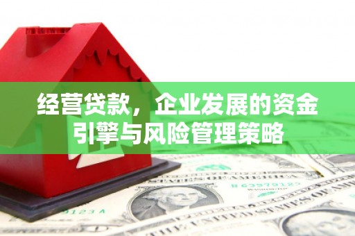 下城经营贷款，企业发展的资金引擎与风险管理策略