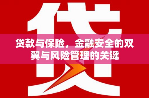 下城贷款与保险，金融安全的双翼与风险管理的关键