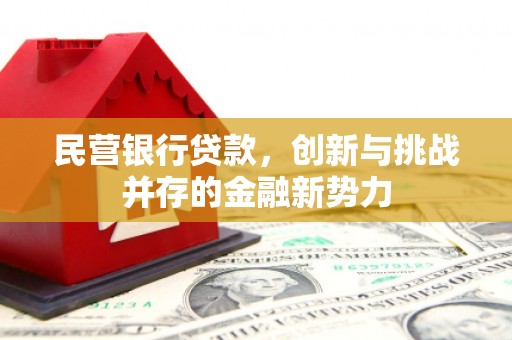 下城民营银行贷款，创新与挑战并存的金融新势力