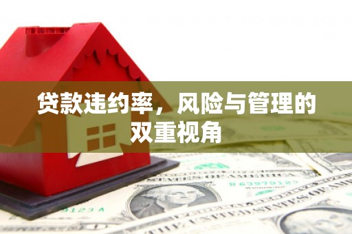 下城贷款违约率，风险与管理的双重视角