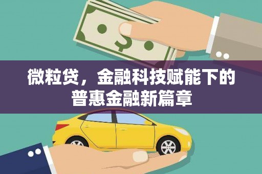 下城微粒贷，金融科技赋能下的普惠金融新篇章