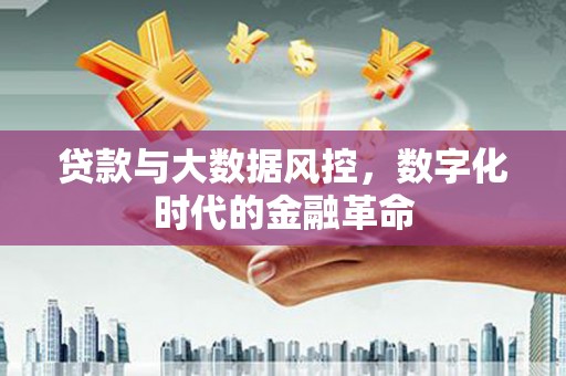 下城贷款与大数据风控，数字化时代的金融革命