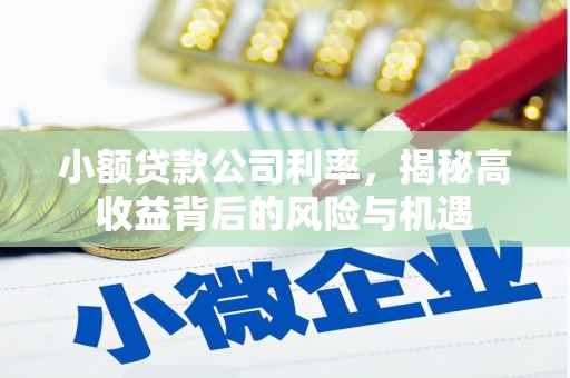 下城小额贷款公司利率，揭秘高收益背后的风险与机遇