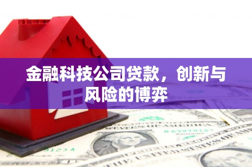 下城金融科技公司贷款，创新与风险的博弈