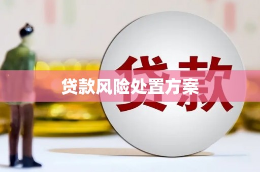 下城贷款风险处置方案