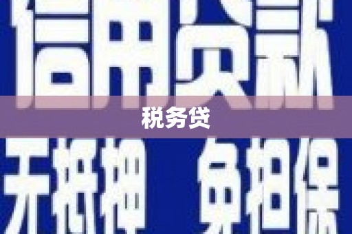 下城税务贷