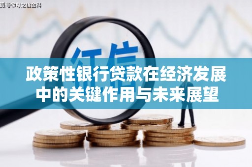下城政策性银行贷款在经济发展中的关键作用与未来展望