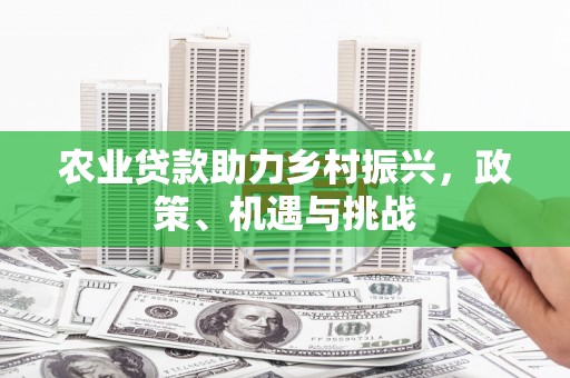 下城农业贷款助力乡村振兴，政策、机遇与挑战