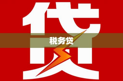 下城税务贷