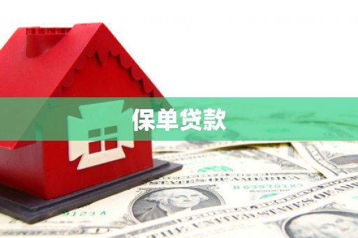 下城保单贷款