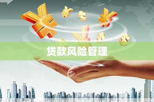 下城贷款风险管理