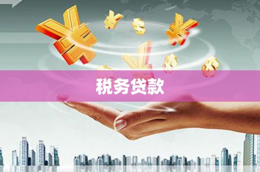 下城税务贷款