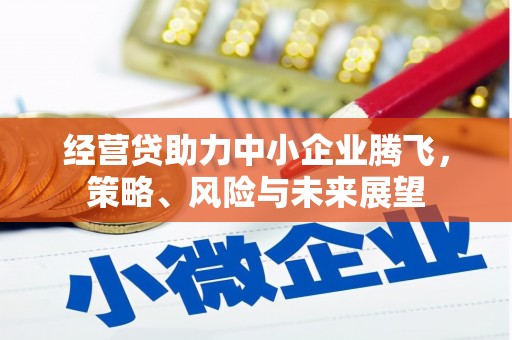 下城经营贷助力中小企业腾飞，策略、风险与未来展望