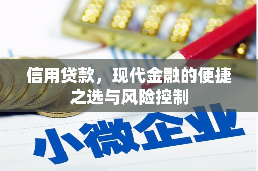 下城信用贷款，现代金融的便捷之选与风险控制
