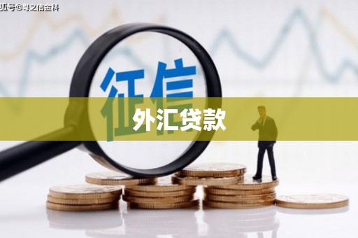 下城外汇贷款
