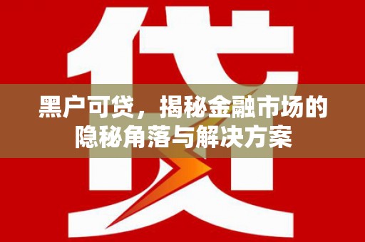 下城黑户可贷，揭秘金融市场的隐秘角落与解决方案