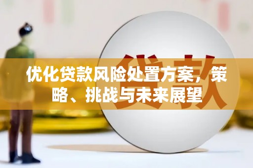下城优化贷款风险处置方案，策略、挑战与未来展望