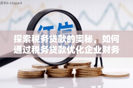 下城探索税务贷款的奥秘，如何通过税务贷款优化企业财务