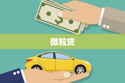 下城微粒贷