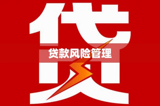 下城贷款风险管理