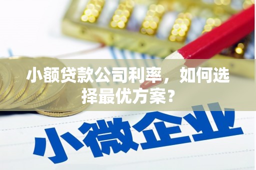下城小额贷款公司利率，如何选择最优方案？