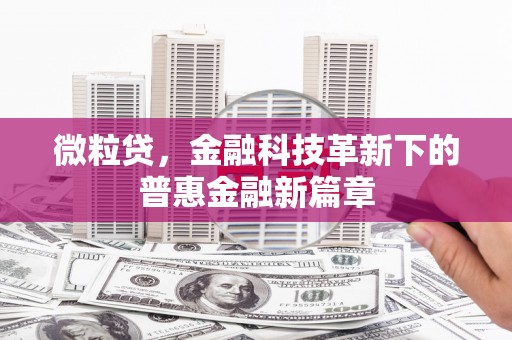 下城微粒贷，金融科技革新下的普惠金融新篇章