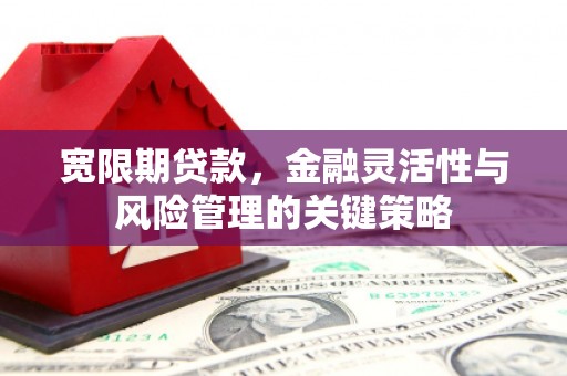 下城宽限期贷款，金融灵活性与风险管理的关键策略