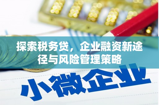下城探索税务贷，企业融资新途径与风险管理策略
