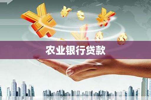 下城农业银行贷款