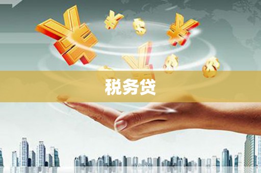 下城税务贷