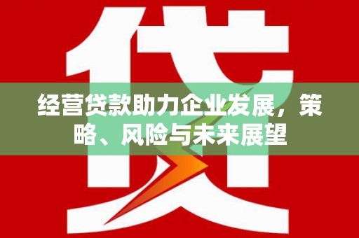 下城经营贷款助力企业发展，策略、风险与未来展望