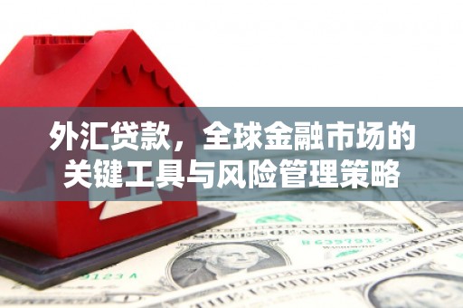 下城外汇贷款，全球金融市场的关键工具与风险管理策略