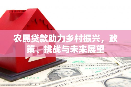 下城农民贷款助力乡村振兴，政策、挑战与未来展望