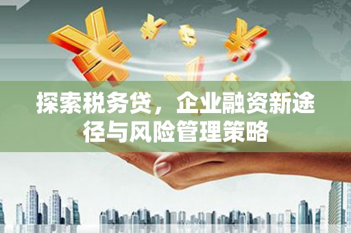 下城探索税务贷，企业融资新途径与风险管理策略