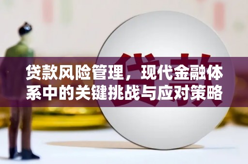 下城贷款风险管理，现代金融体系中的关键挑战与应对策略