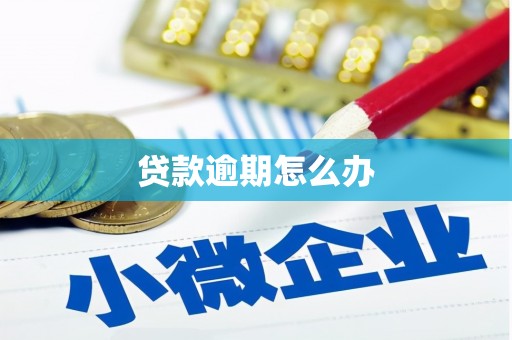 下城贷款逾期怎么办