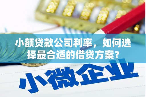 下城小额贷款公司利率，如何选择最合适的借贷方案？