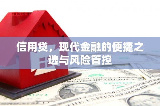 下城信用贷，现代金融的便捷之选与风险管控