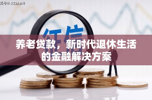 下城养老贷款，新时代退休生活的金融解决方案