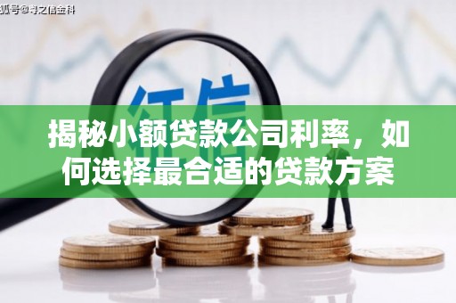下城揭秘小额贷款公司利率，如何选择最合适的贷款方案