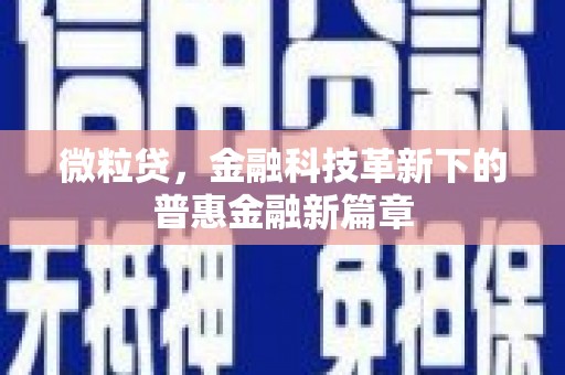下城微粒贷，金融科技革新下的普惠金融新篇章