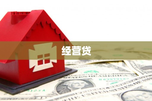 下城经营贷
