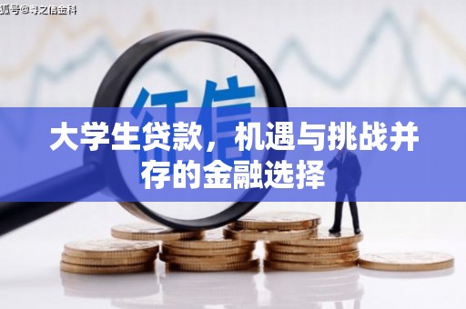 下城大学生贷款，机遇与挑战并存的金融选择