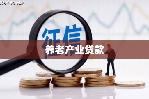 下城养老产业贷款